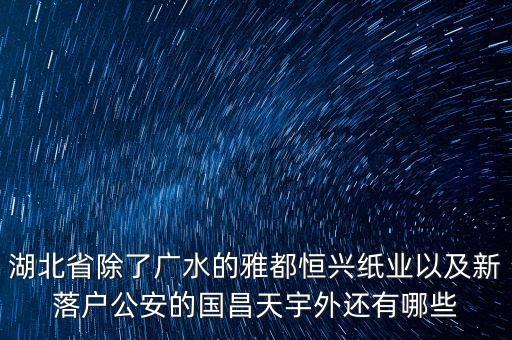 湖北省除了廣水的雅都恒興紙業(yè)以及新落戶公安的國昌天宇外還有哪些