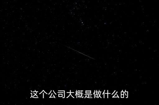 這個公司大概是做什么的