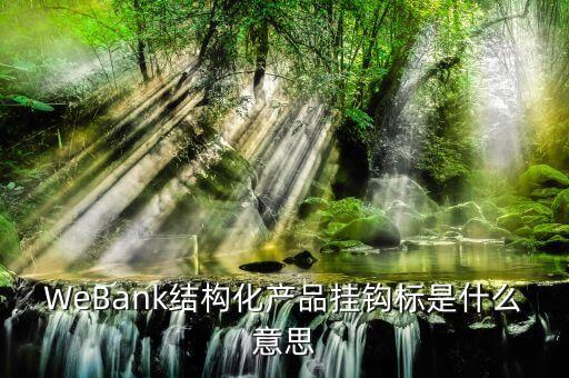 WeBank結(jié)構(gòu)化產(chǎn)品掛鉤標(biāo)是什么意思