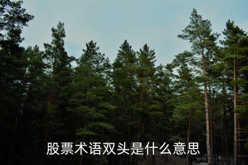 股票術(shù)語雙頭是什么意思