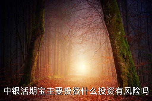 中銀活期寶主要投資什么投資有風(fēng)險(xiǎn)嗎