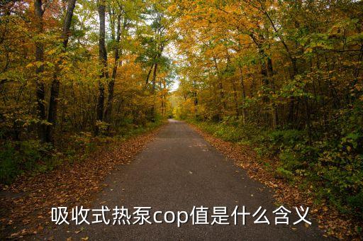 帝納波利cop是什么，COP財務指標是什么意思