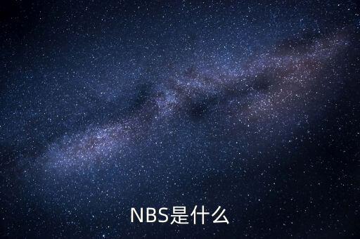 NBS是什么