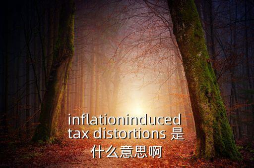 什么是扭曲稅收，inflationinduced tax distortions 是什么意思啊