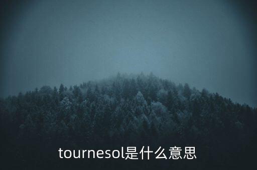 什么是一線股，tournesol是什么意思