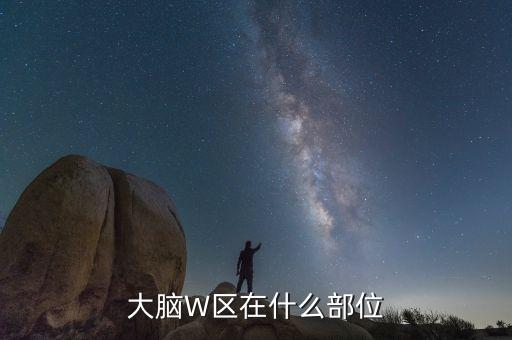 大腦W區(qū)在什么部位