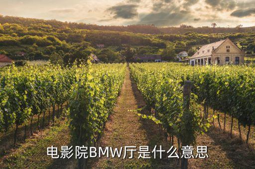 電影院BMW廳是什么意思