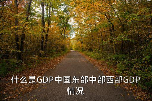 什么是GDP中國東部中部西部GDP情況