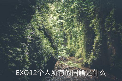 EXO12個(gè)人所有的國(guó)籍是什么