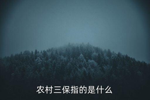 三農保險指什么，農村三保指的是什么