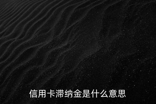 什么是信用卡滯納金，什么是信用卡滯納金