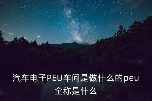 汽車電子PEU車間是做什么的peu全稱是什么