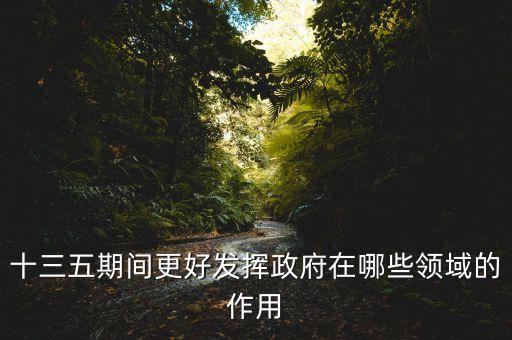 十三五期間更好發(fā)揮政府在哪些領(lǐng)域的作用