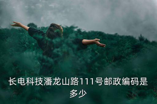 長(zhǎng)電科技潘龍山路111號(hào)郵政編碼是多少