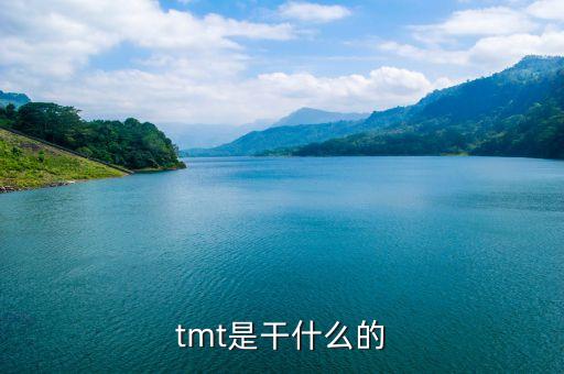 tmt業(yè)務是什么，tmt是干什么的