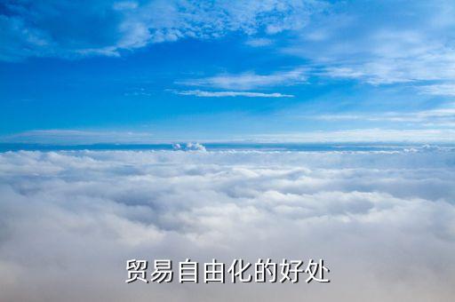 什么是貿(mào)易投資自由化，貿(mào)易自由化名詞解釋