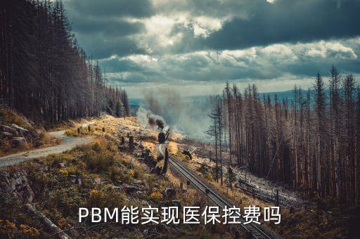 PBM能實現(xiàn)醫(yī)?？刭M嗎