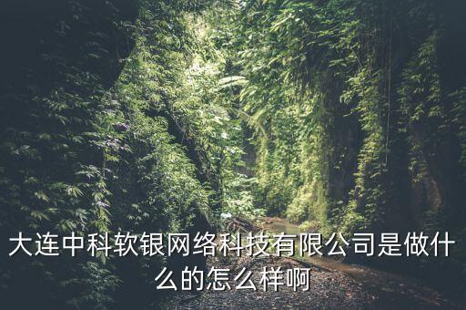 大連中大科技干什么的，大連豆瓣科技主要是做什么業(yè)務的啊