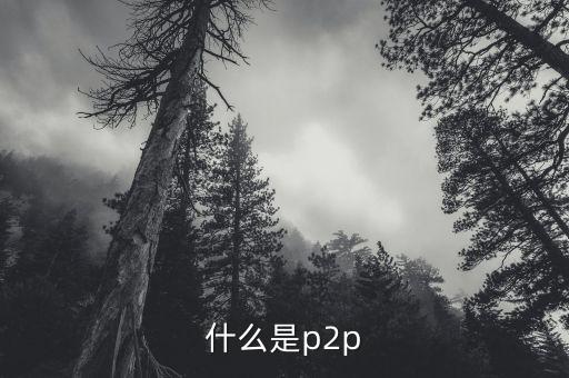 什么是p2p