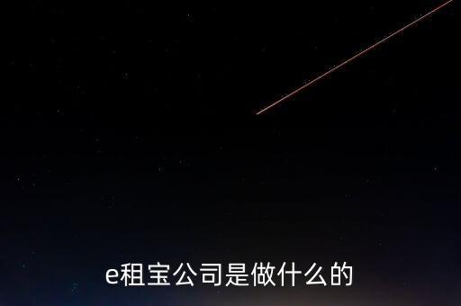 e租寶公司是做什么的