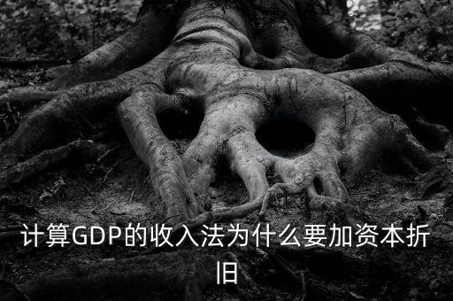 計算GDP的收入法為什么要加資本折舊