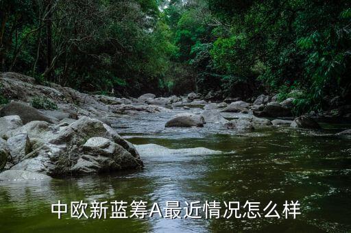 中歐新藍籌a與e有什么區(qū)別，中歐盛世成長基金a和e有什么區(qū)別