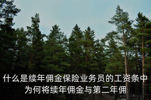 什么是續(xù)年傭金保險業(yè)務(wù)員的工資條中為何將續(xù)年傭金與第二年傭