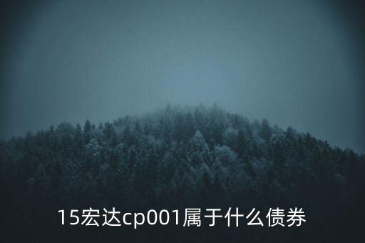 債券cp001什么意思，債券后面的數(shù)字01或者02是什么意思