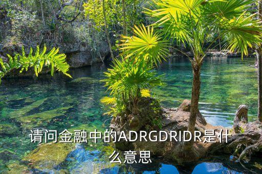 請問金融中的ADRGDRIDR是什么意思