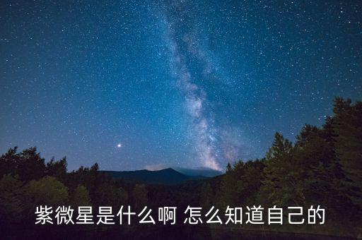 紫微星是什么啊 怎么知道自己的