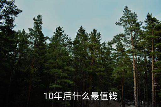 10年后什么最值錢