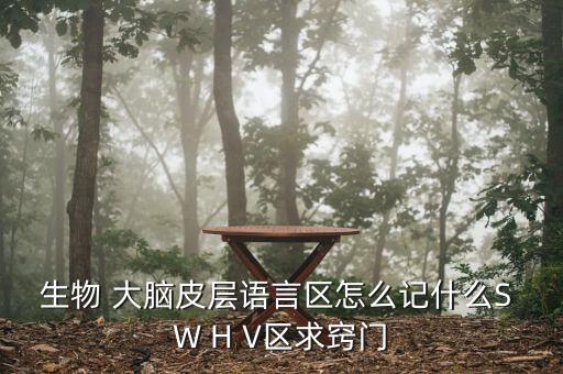 生物人腦w區(qū)是什么，大腦W區(qū)在什么部位