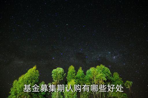 基金認購有什么好處，認購首發(fā)股票基金有什么好處和壞處