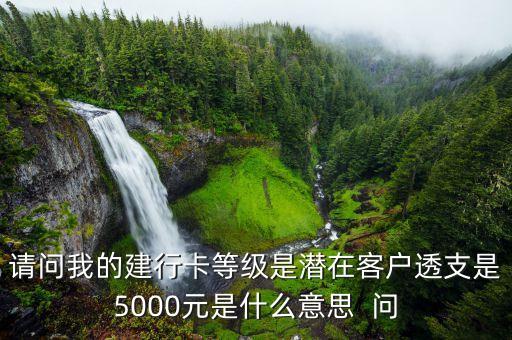 請問我的建行卡等級是潛在客戶透支是5000元是什么意思  問