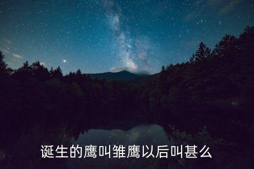 誕生的鷹叫雛鷹以后叫甚么