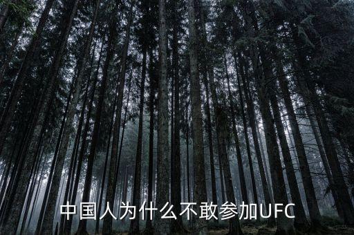 中國人為什么不敢參加UFC