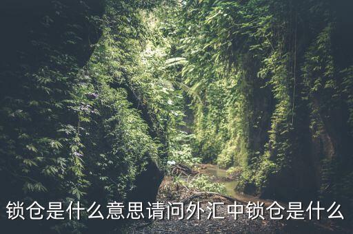 鎖倉(cāng)是什么意思請(qǐng)問外匯中鎖倉(cāng)是什么