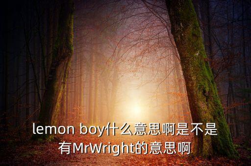 lemon boy什么意思啊是不是有MrWright的意思啊