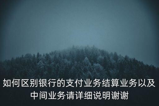 什么是支付結(jié)算業(yè)務(wù)，銀行的支付結(jié)算業(yè)務(wù)狀況指什么