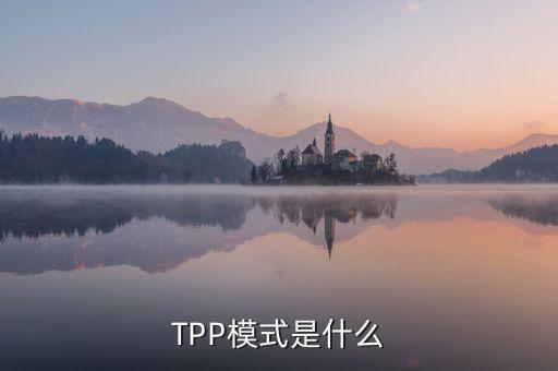 TPP模式是什么