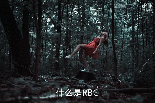 rbc是什么銀行，關(guān)于rbc銀行