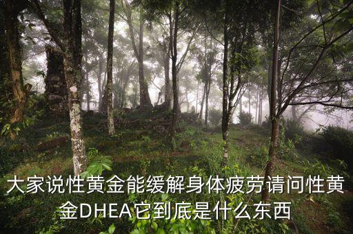 大家說性黃金能緩解身體疲勞請(qǐng)問性黃金DHEA它到底是什么東西