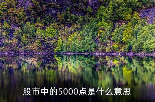 股市中的5000點(diǎn)是什么意思