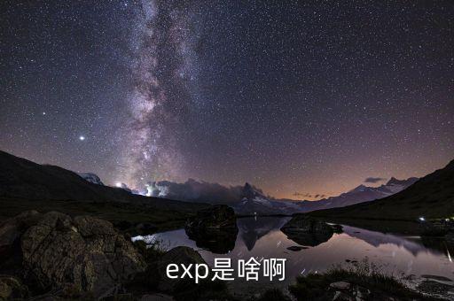 expd是什么意思，exp是啥啊