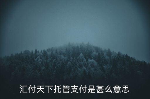 匯付天下托管支付是甚么意思