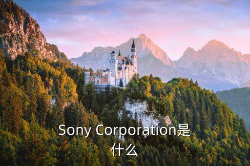 Sony Corporation是什么