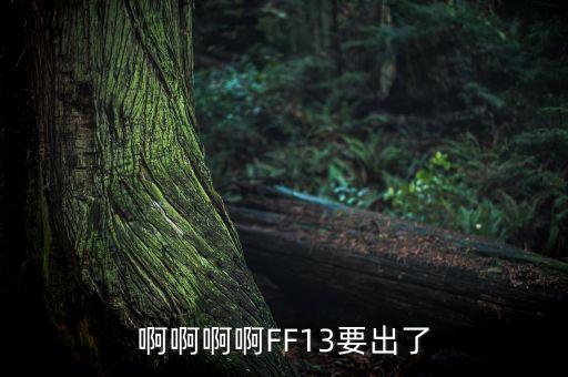 什么是賣方首席，啊啊啊啊FF13要出了