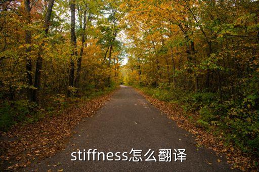 stiffness怎么翻譯