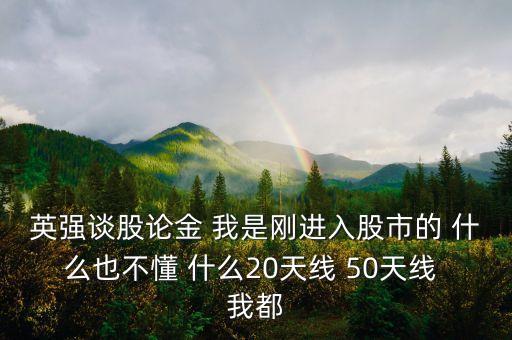 英強(qiáng)談股論金 我是剛進(jìn)入股市的 什么也不懂 什么20天線 50天線 我都