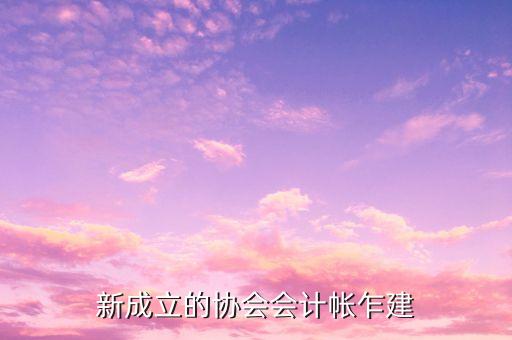 新成立的協(xié)會(huì)會(huì)計(jì)帳乍建